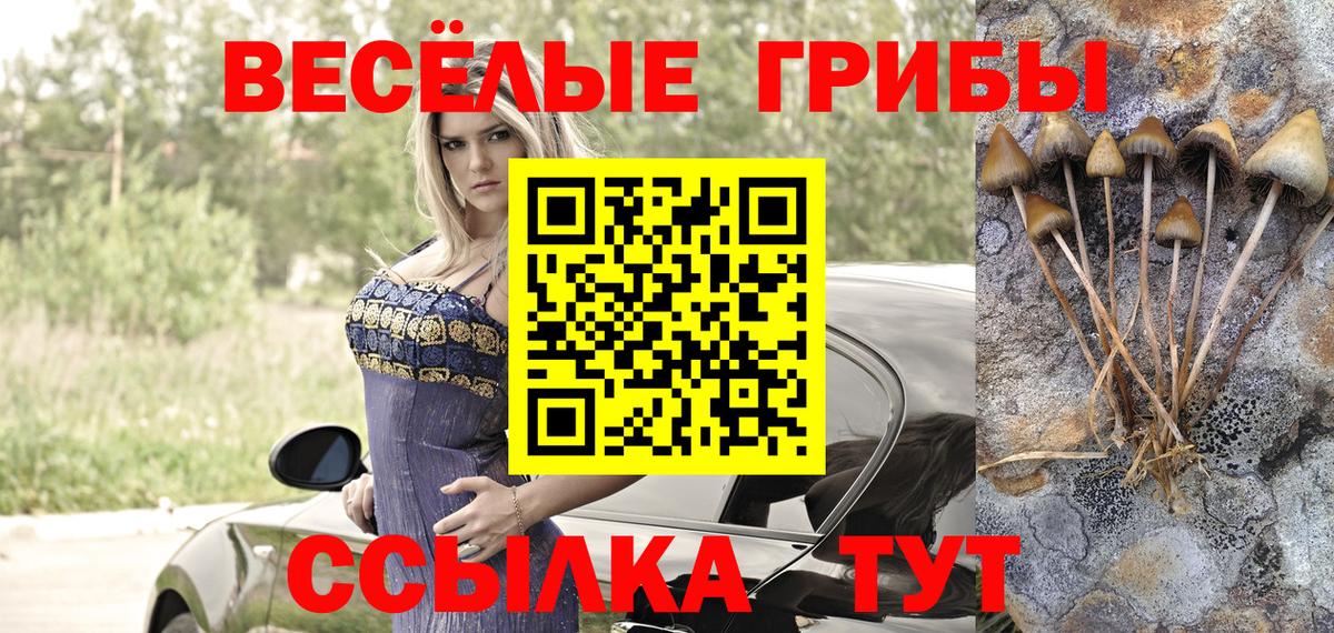 Псилоцибиновые грибы прущие грибы Жигулёвск